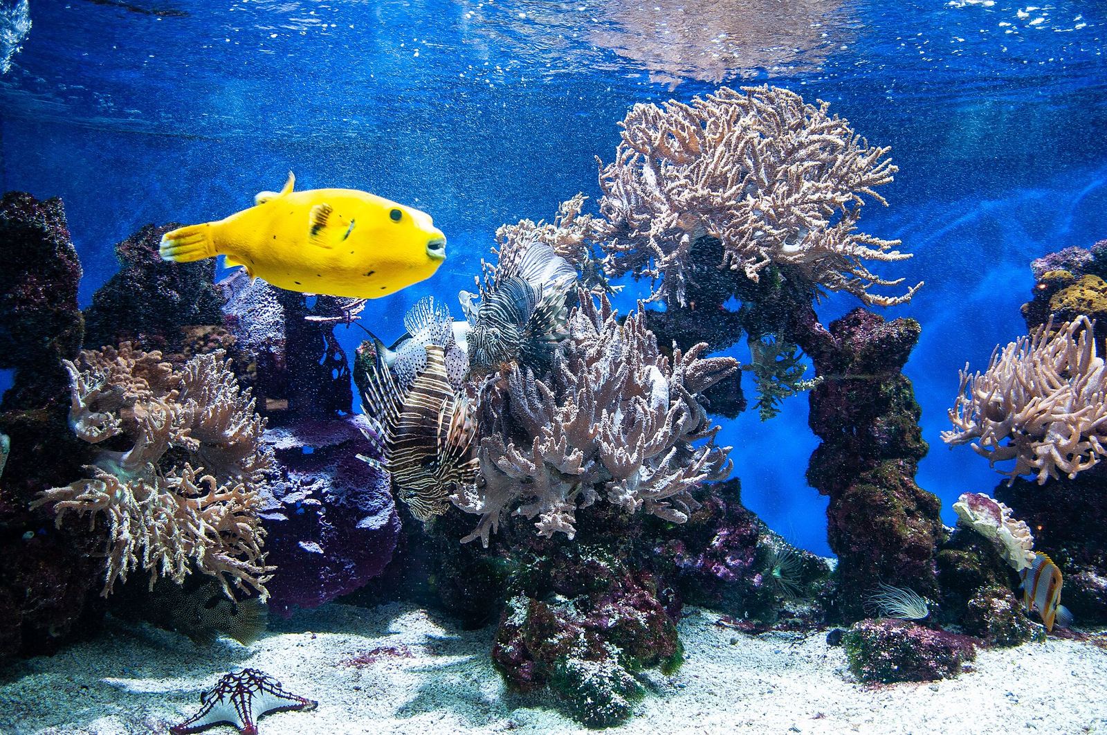 Monaco met kinderen – sfeerbeeld
